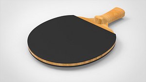 Table Tennis Paddle model
