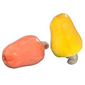 Cashew fruit 3D model