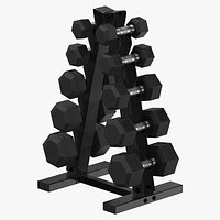 Dumbell Stand Type 01 Clean and Dirty