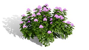 3D Japanese Flora Pack 02 model