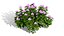 Japanese Flora Pack 02