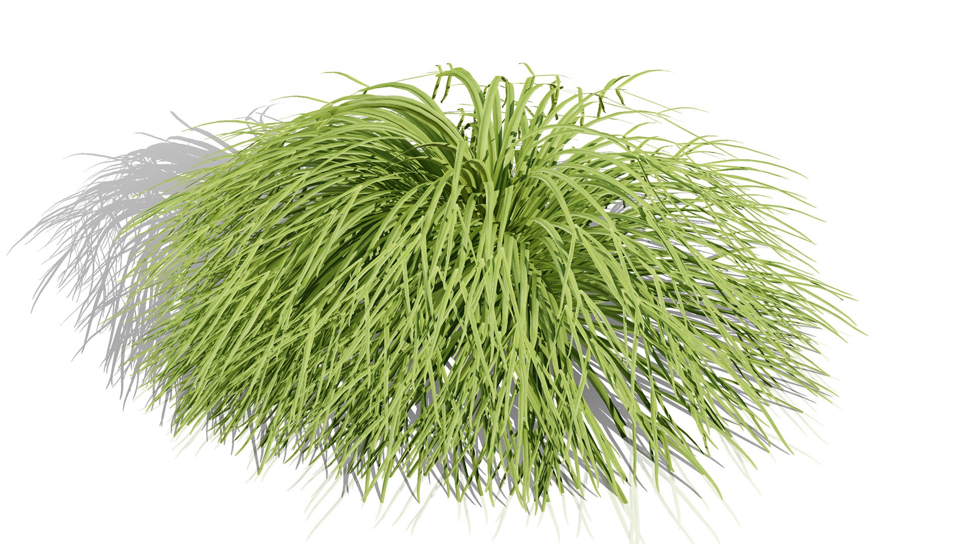 3D Japanese Flora Pack 02 model https://p.turbosquid.com/ts-thumb/4q/c230Hj/NQ/japanesehakonechloal/jpg/1786310361/1920x1080/fit_q87/11b98d46400cfd6aac33db9f3b1ec24c87aad9f0/japanesehakonechloal.jpg