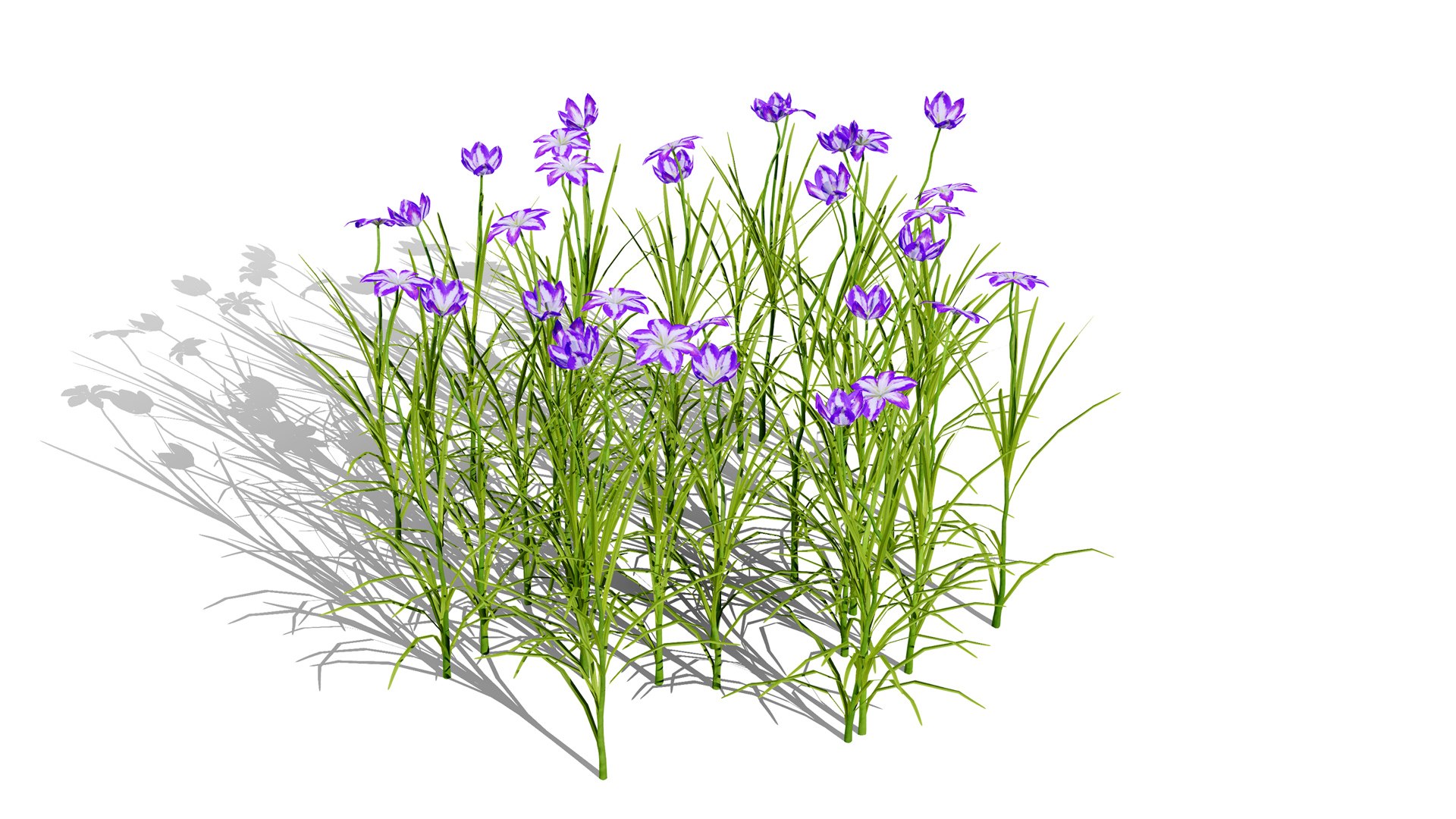 3D Japanese Flora Pack 02 model https://p.turbosquid.com/ts-thumb/4q/c230Hj/bI/japaneseirisensatal/jpg/1786310362/1920x1080/fit_q87/d8108f4740e45606464a5269d20a774023d93ba5/japaneseirisensatal.jpg