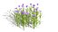 Japanese Flora Pack 02