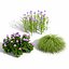 Japanese Flora Pack 02