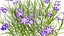 Japanese Flora Pack 02