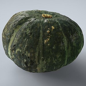gourd vegetable plant 3d model