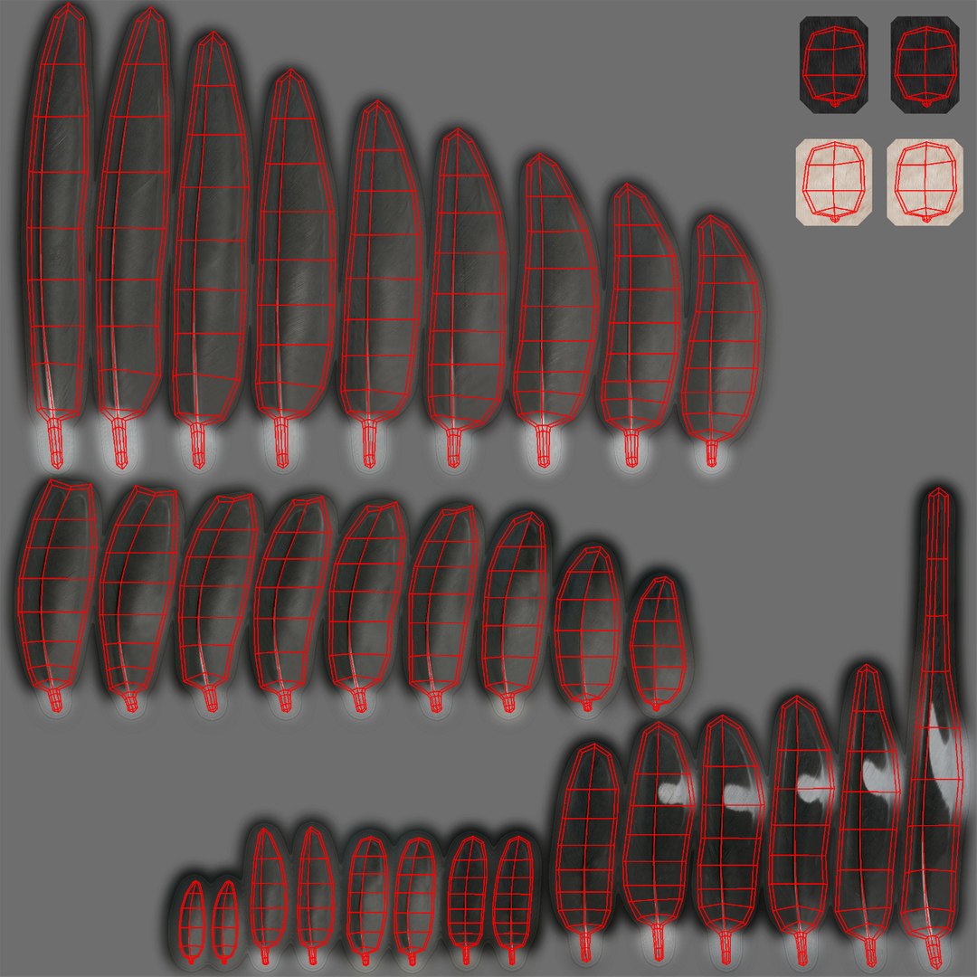 hirundo rustica barn swallow 3d obj https://p.turbosquid.com/ts-thumb/4q/rFPdvm/33kDQppY/feathers_uv/jpg/1436203645/1920x1080/fit_q87/9ed1cea1be0793fecaf7096a9a48241aab764d96/feathers_uv.jpg