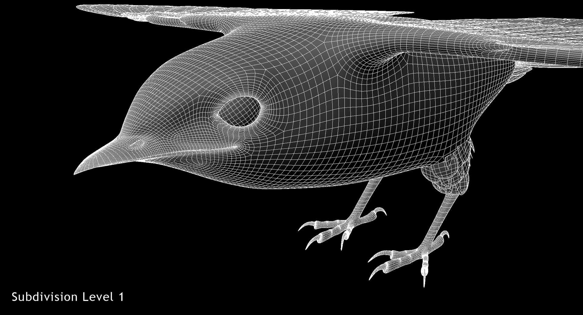 hirundo rustica barn swallow 3d obj https://p.turbosquid.com/ts-thumb/4q/rFPdvm/tXwHFAVb/w06/jpg/1436203644/1920x1080/fit_q87/261f595a9b5308d668d365f46e9d46e89d618557/w06.jpg