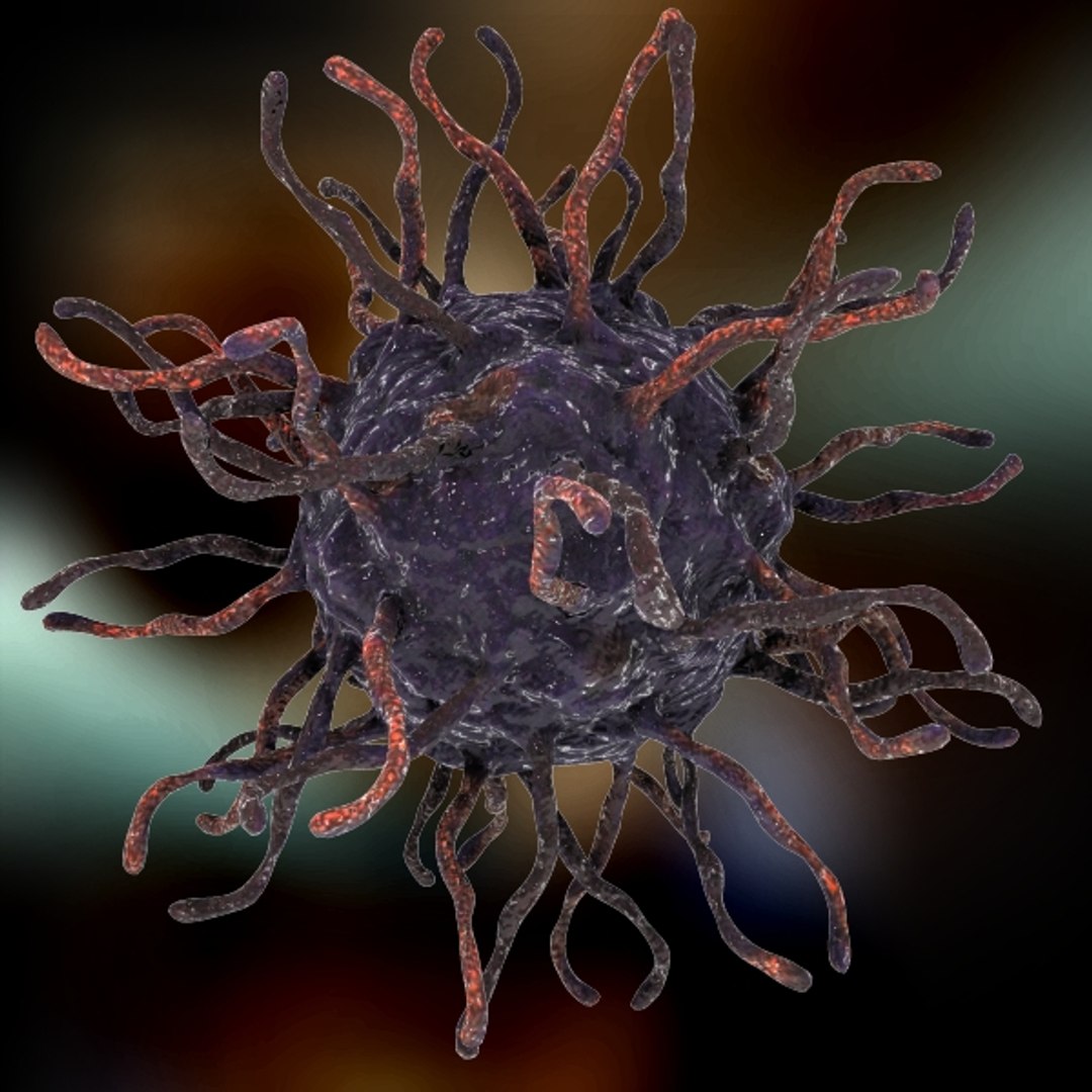 人类柯萨奇病毒3d模型 