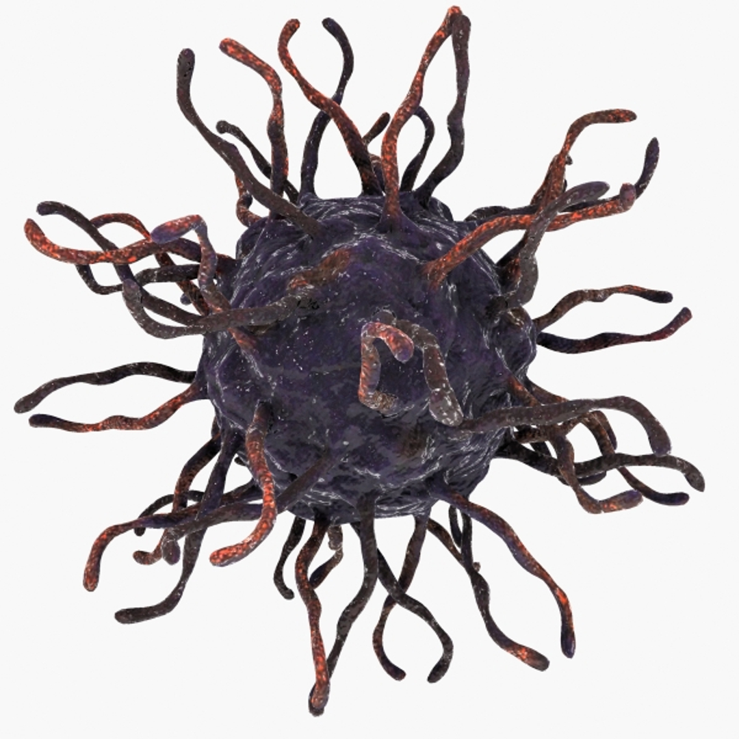 Human Coxsackie Virus 3d Model