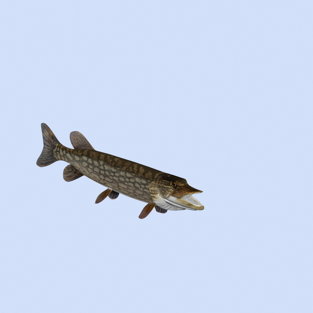 3ds Max Pike Northern