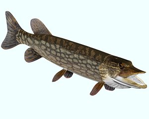 3ds max pike northern