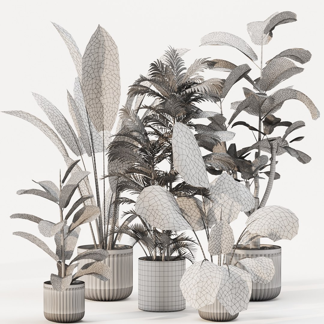 3D Indoor Plant Set 01 https://p.turbosquid.com/ts-thumb/4r/5z2WV6/TX/view04/jpg/1721302630/1920x1080/fit_q87/58b63f9f0a85a65731f74cde1589f9a15f2d49ff/view04.jpg