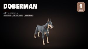 Doberman