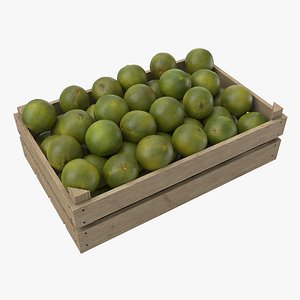 Lime Crate 3D model