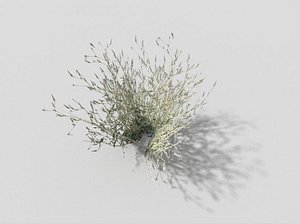 meadow grass 3d model