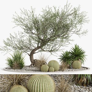 Plants collection 959 3D model