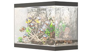 3D Aquarium002 model