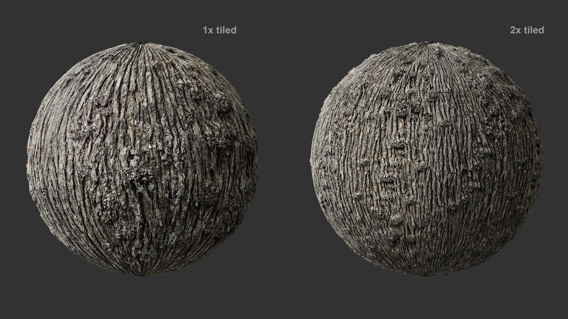 3D Winged Elm Log PBR tiled 8K 04 https://p.turbosquid.com/ts-thumb/4r/hfvJKa/Di/elm_mat4_03/jpg/1781853536/1920x1080/fit_q87/f7486ef0350bae358d332b1faa9b59d5494b05aa/elm_mat4_03.jpg