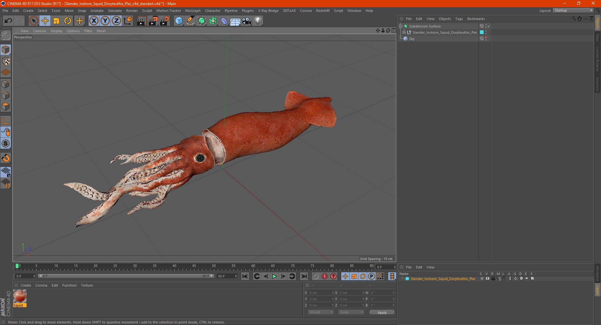 slender inshore squid doryteuthis 3D model https://p.turbosquid.com/ts-thumb/4s/1AMNBy/RM67gtQZ/slenderinshoresquiddoryteuthispleic4dmodel027/jpg/1600482195/1920x1080/fit_q87/6bdd7550736a8f5ce390692927dd662c12540f57/slenderinshoresquiddoryteuthispleic4dmodel027.jpg