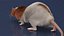 Realistic Dumbo Rat Fur 3D