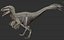 Deinonychus model
