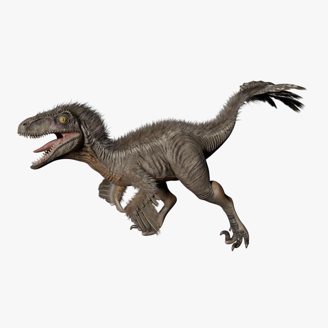 Deinonychus model https://p.turbosquid.com/ts-thumb/4s/5W3XQq/p3/search/png/1758778169/1920x1080/fit_q87/523d383bc3e2d9e6e539e657106482e766d38c25/search.jpg