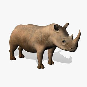 Rhino