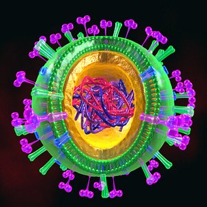 h1n1 swine flu virus 3d max