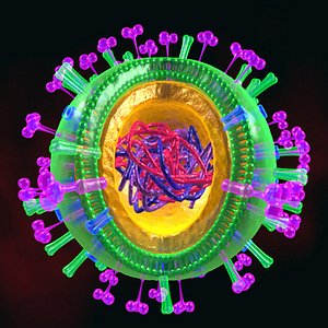 swine flu h1n1 virus
