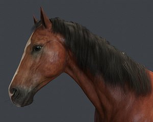 Horse Realistic Model Rigged 3D