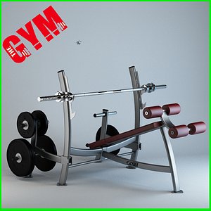 Olympic Decline Press with Weight Storage