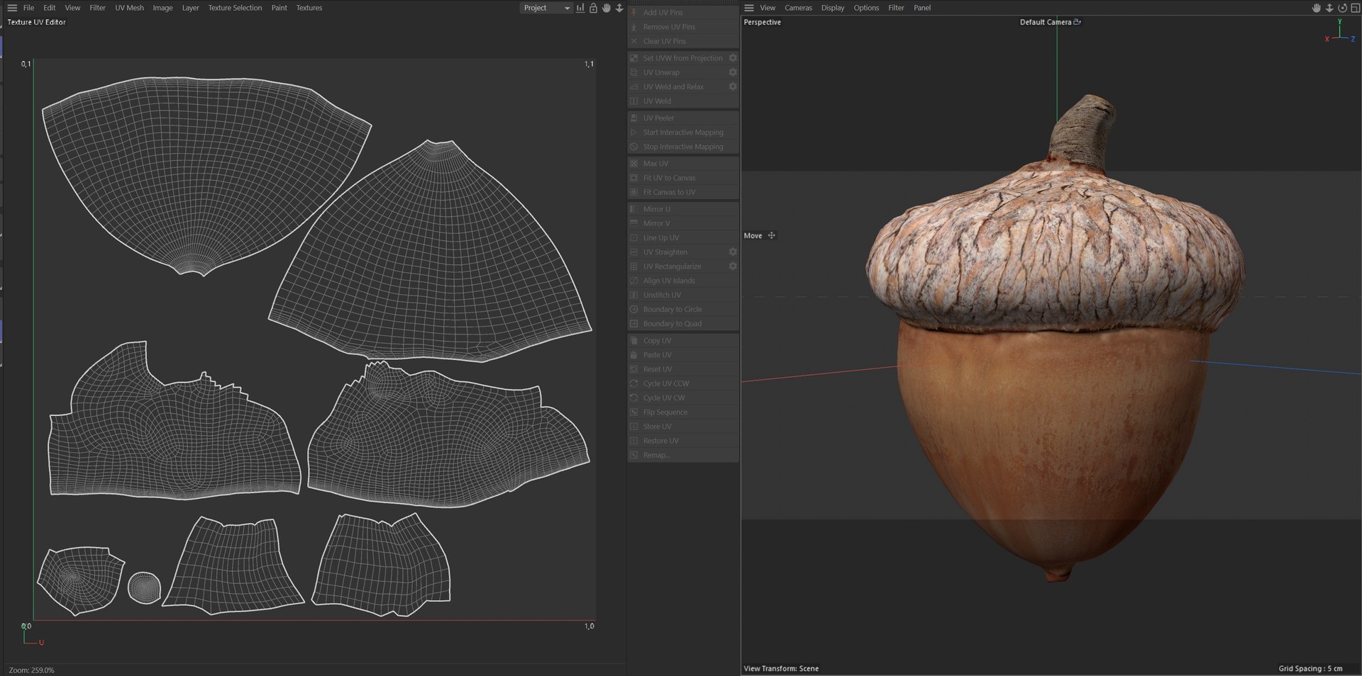 Acorn V1 3D Model - TurboSquid 2406597