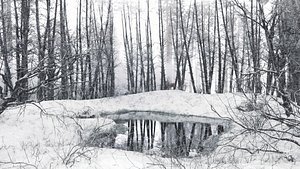 Winter Lake