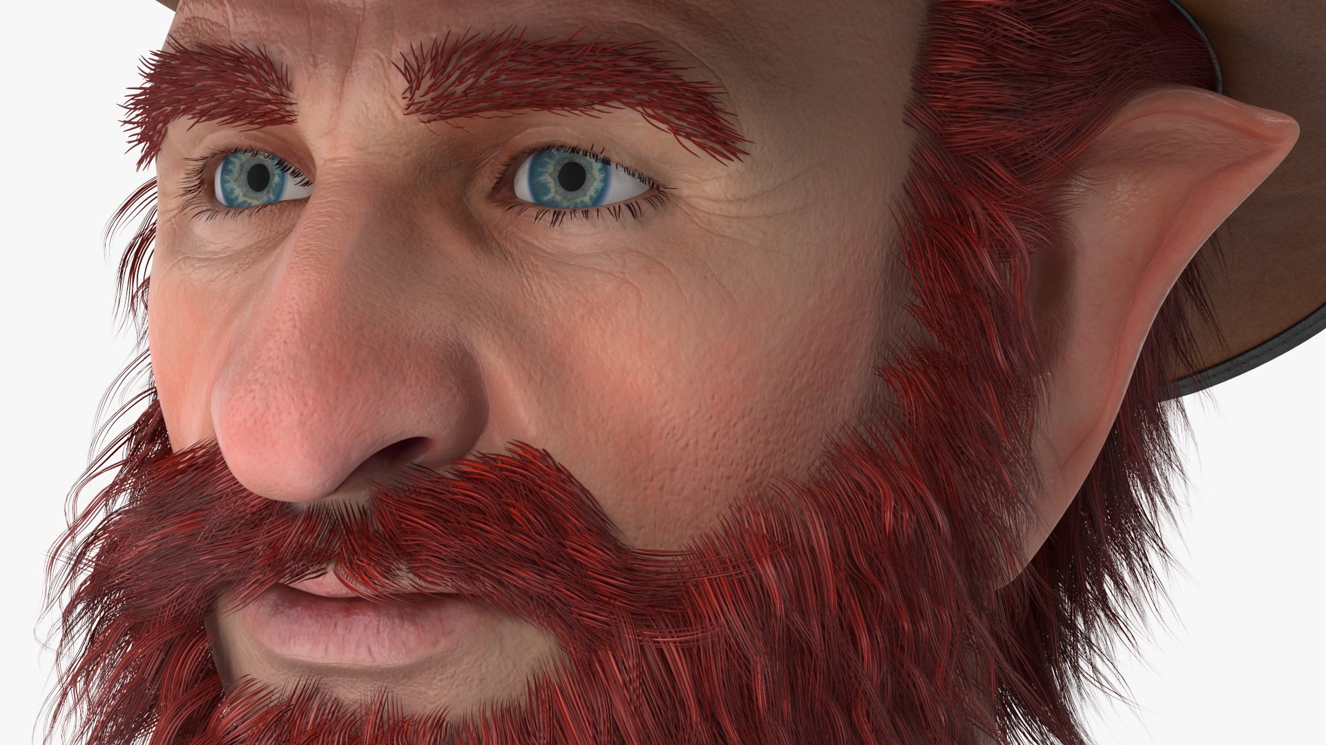 Leprechaun Head 2 3D model https://p.turbosquid.com/ts-thumb/4t/39OJUg/4T/angles_18/jpg/1668507794/1920x1080/fit_q87/58a707e3ae4b4d66bbe01887d8977a078043499c/angles_18.jpg