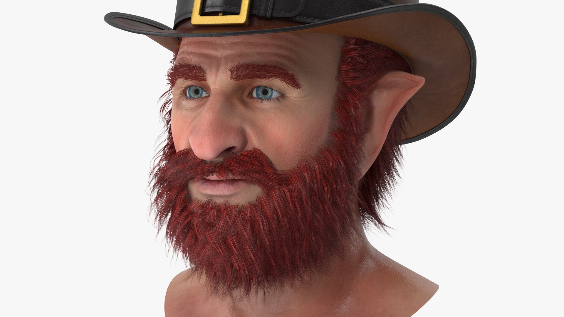 Leprechaun Head 2 3D model https://p.turbosquid.com/ts-thumb/4t/39OJUg/y2/angles_16/jpg/1668507735/1920x1080/fit_q87/1488b9a3e511299a4289f64c894be4f6316a5639/angles_16.jpg