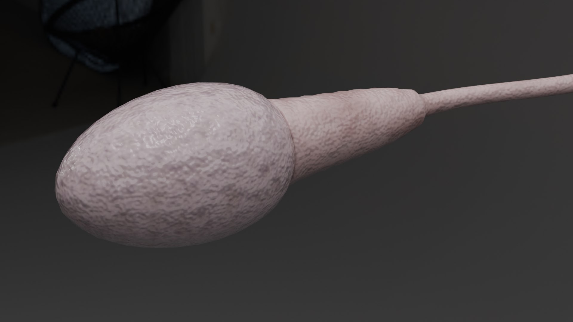 Human Sperm Cell model https://p.turbosquid.com/ts-thumb/4t/AyXEKn/h0/3/png/1786210429/1920x1080/fit_q87/5eba7d536bae39c7f8f98a5feb6c872373b7278a/3.jpg