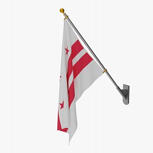 3D Wall Flag Washington DC