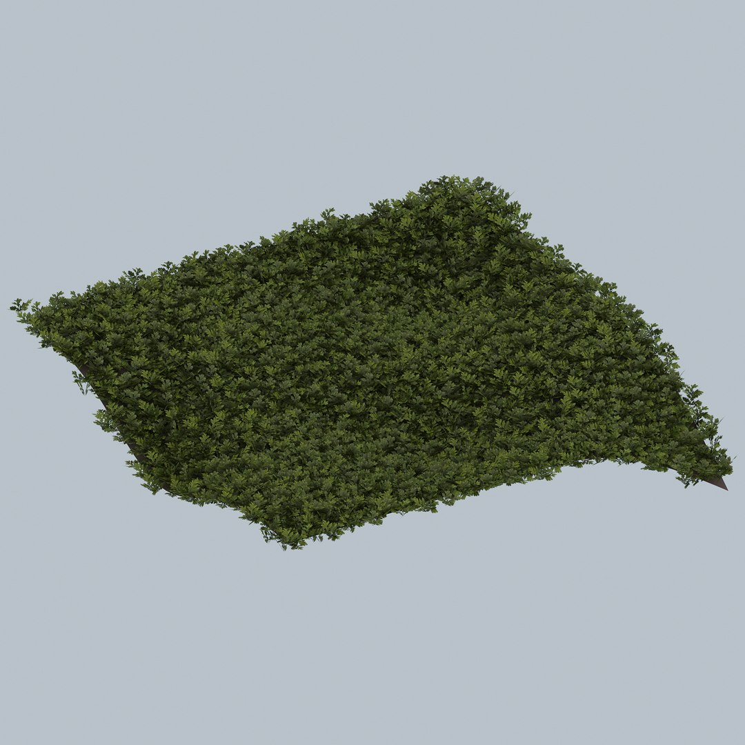 3D grass complex leaves https://p.turbosquid.com/ts-thumb/4t/S9cMSN/KXVHT7UN/t23/jpg/1603160481/1920x1080/fit_q87/7ea6621b510b9c6645d81d5f72de74bd5553be28/t23.jpg