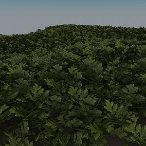 3D grass complex leaves