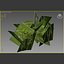 Grass complex leaves 2