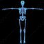 human body male 3d model