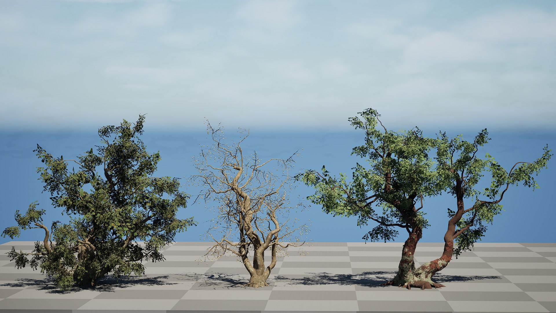 Common Star Chestnut 3D model https://p.turbosquid.com/ts-thumb/4t/gqJwAL/V5/zhighresscreenshot00002/jpg/1747003854/1920x1080/fit_q87/92285c5aa80f5acfd402a63380d1eb6f6eae5eaf/zhighresscreenshot00002.jpg