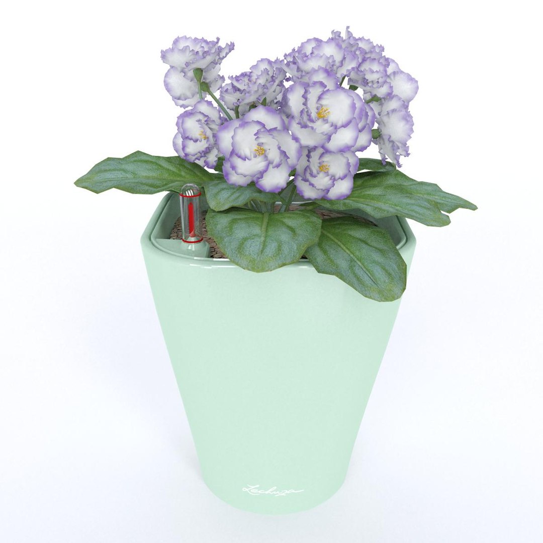 Violet Color Flower 3d Model