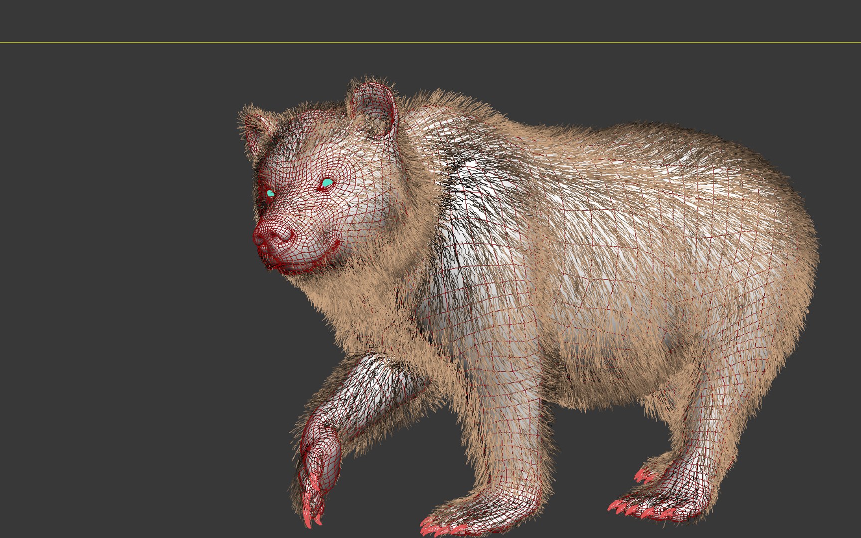 3d Bear Animation