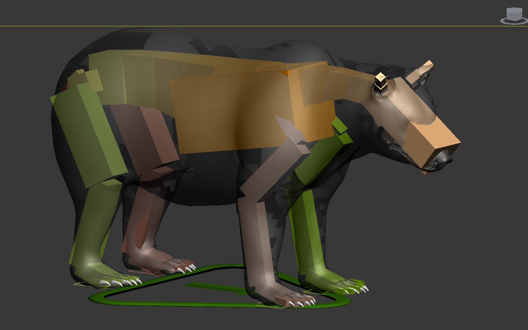 3d Bear Animation