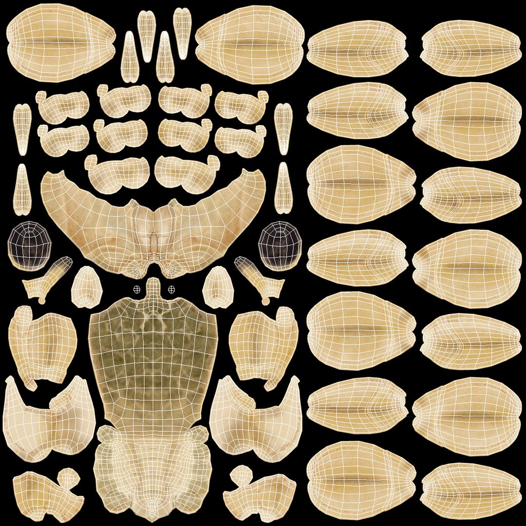 3D model Shoreline Sand Crab Beige Moving Pose https://p.turbosquid.com/ts-thumb/4t/q5v3WJ/We/shoreline_sand_crab_beige_moving_pose_014/jpg/1750116447/1920x1080/fit_q87/04eaf3c3d0fd87a88b96cf851f00031bb544bc2e/shoreline_sand_crab_beige_moving_pose_014.jpg
