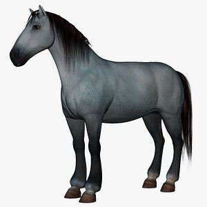 Horse Rigged Animated