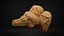 Brain stem